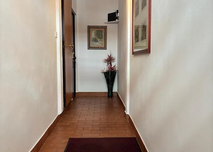 Rinuccini 46 *