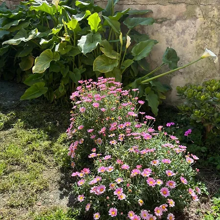 Rinuccini 46 피렌체