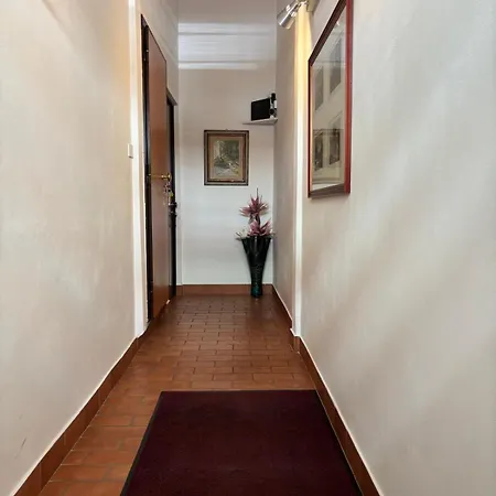 Rinuccini 46 *